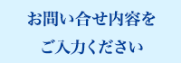 お問い合せ内容をご入力ください