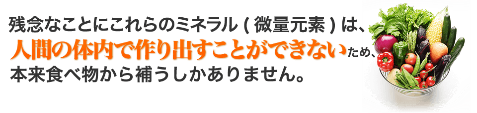 残念なことにこれらのミネラル(微量元素)は、人間の体内で作り出すことができないため、本来食べ物から補うしかありません。