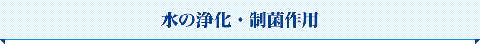 水の浄化・制菌作用