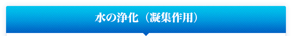 水の浄化（凝集作用）