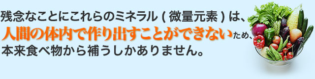 残念なことにこれらのミネラル(微量元素)は、人間の体内で作り出すことができないため、本来食べ物から補うしかありません。