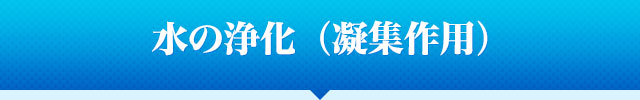 水の浄化（凝集作用）